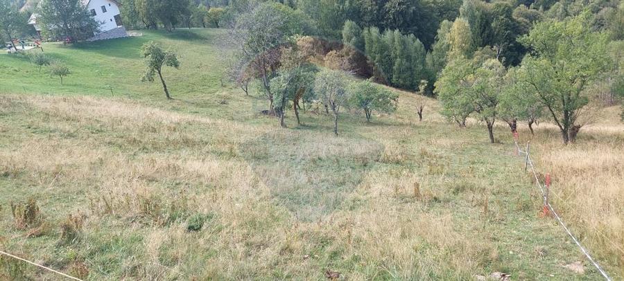 Teren agricol intravilan de 4608 mp, în Măgura