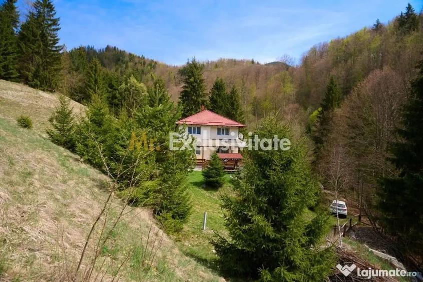 Casă cu 5 camere cu Teren 6412 Mp în Dâmbovicioara