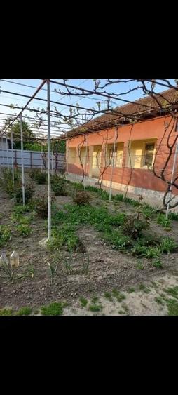 Casă cu 3 camere în Central