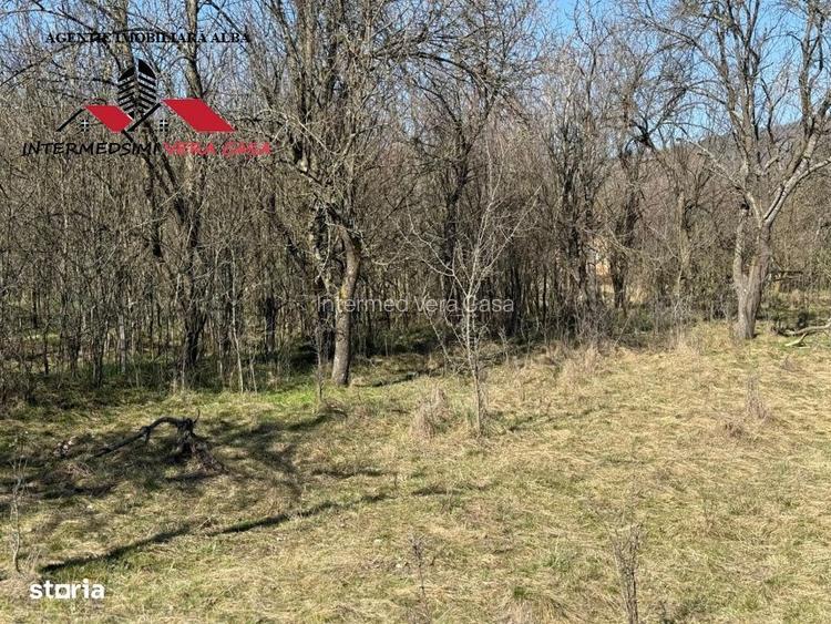 Casa si anexe cu un teren de 7701 mp de vanzare in Stauini Jud Alba