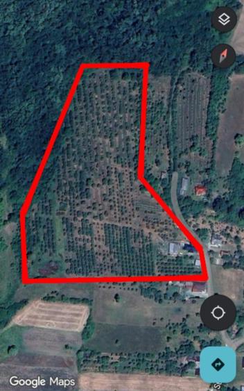 Casă cu 3 camere în Săliște