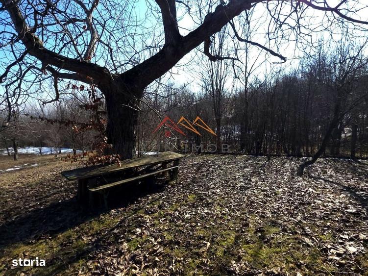 Casă cu 3 camere în Poiana