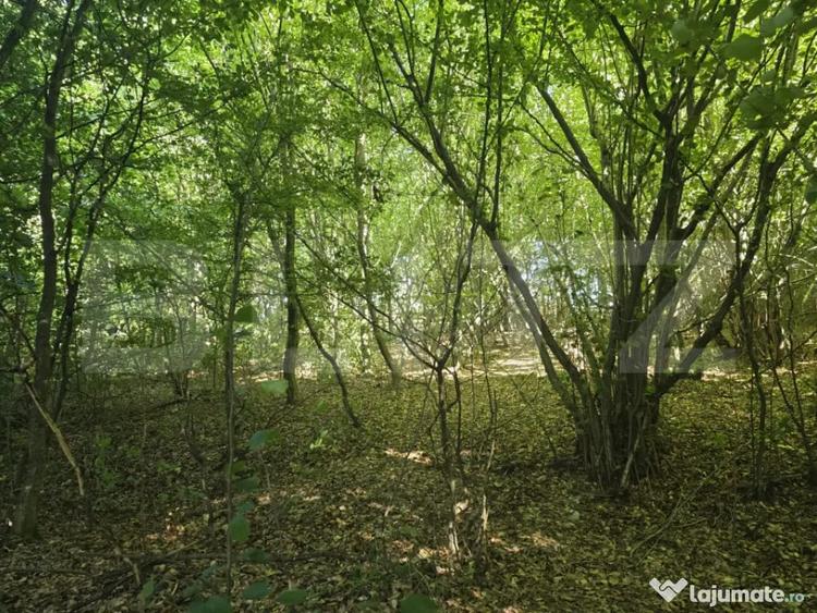 Teren de 524 mp, în Făget