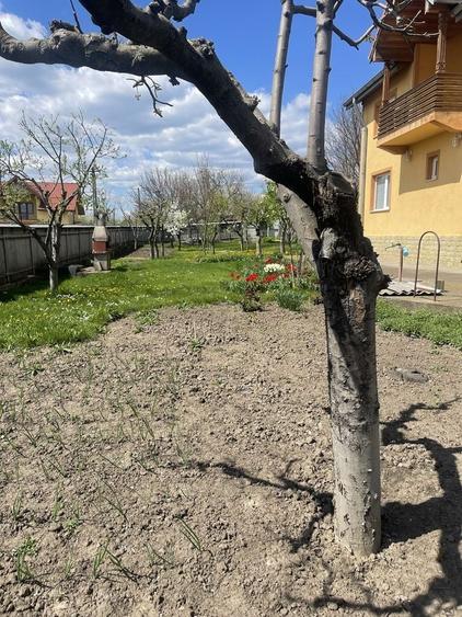 Casă cu 4 camere în Gropnița