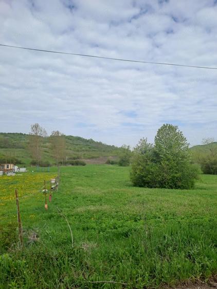 Teren de 2900 mp, în Căptălan