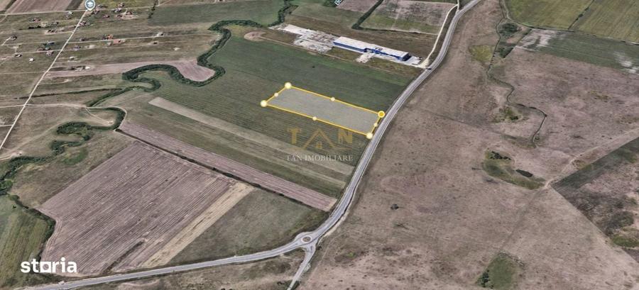 Teren de 40000 mp, în Dumbrăvița