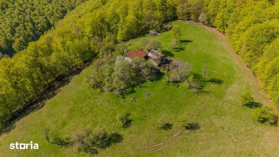 Teren de 21537 mp, în Noua
