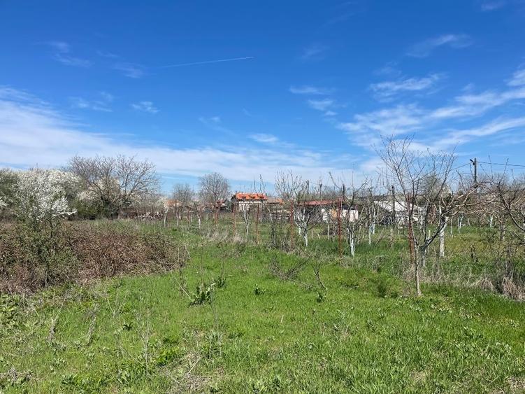 Teren Construcții intravilan de 800 mp, în Runcu