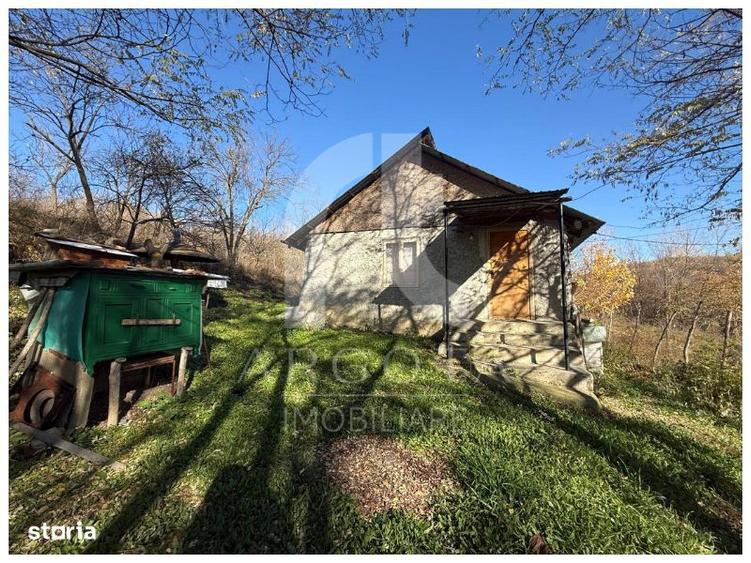 Teren de 3250 mp, în Cozieni