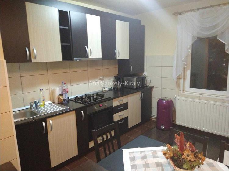 Apartament cu doua camere de inchiriat, in Cartierul Zorilor