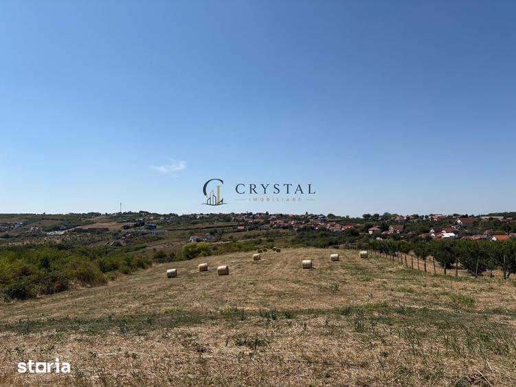 Teren de 6355 mp, în Paleu