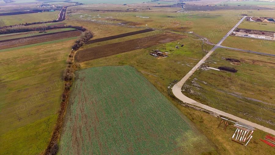 Teren de 5000 mp, în Nord