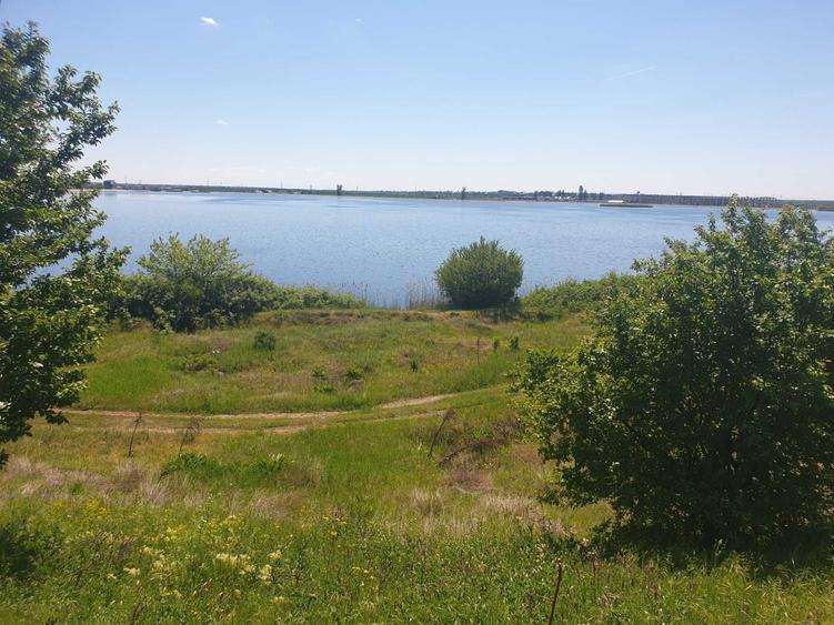 Particular, vand teren cu deschidere la lacul Cernica, langa padure - 3