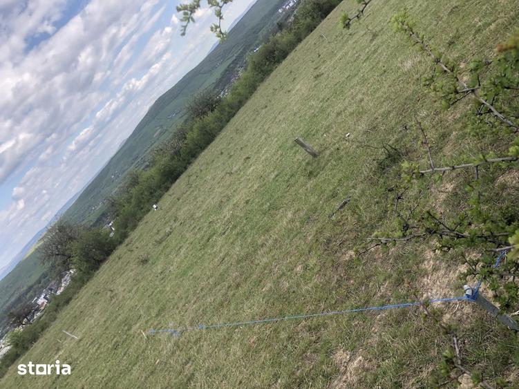 Teren intravilan pentru casa 500mp vedere panoramica Aleea Trifoiului - 9