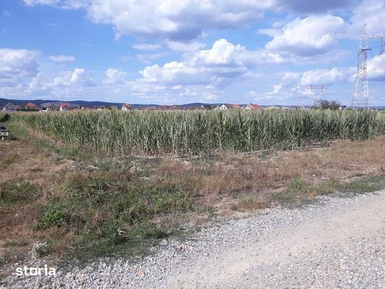 Teren de 575 mp, în Oșorhei