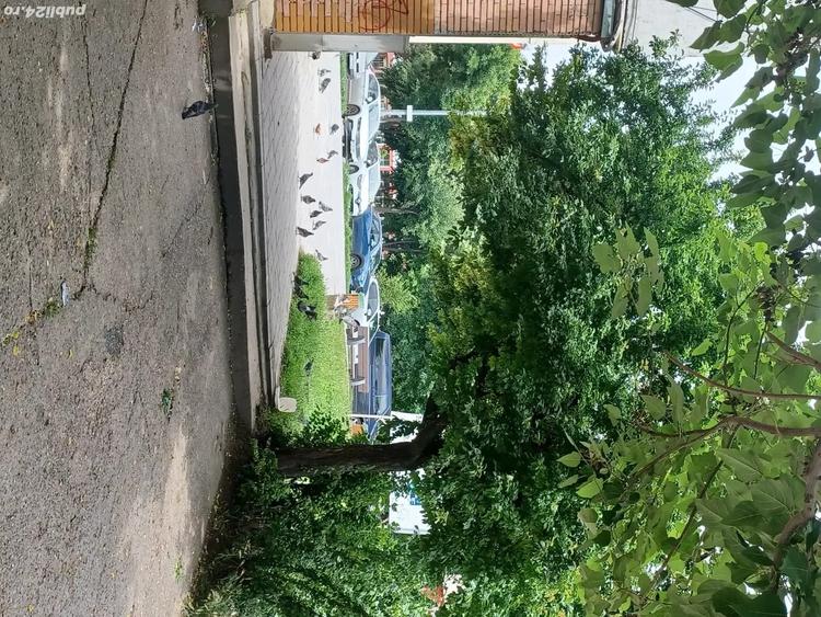 Apartament cu 3 camere decomandat în Orizont