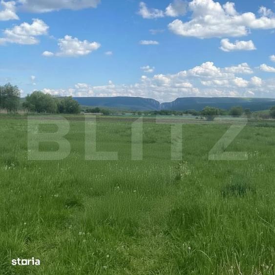 Teren de 2400 mp, în Petrești