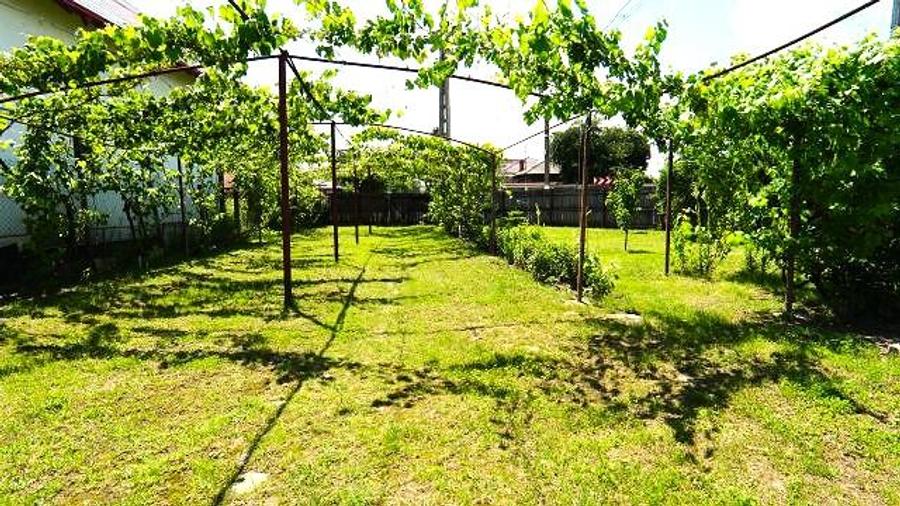 Casă cu 3 camere cu Teren 800 Mp în Teiș