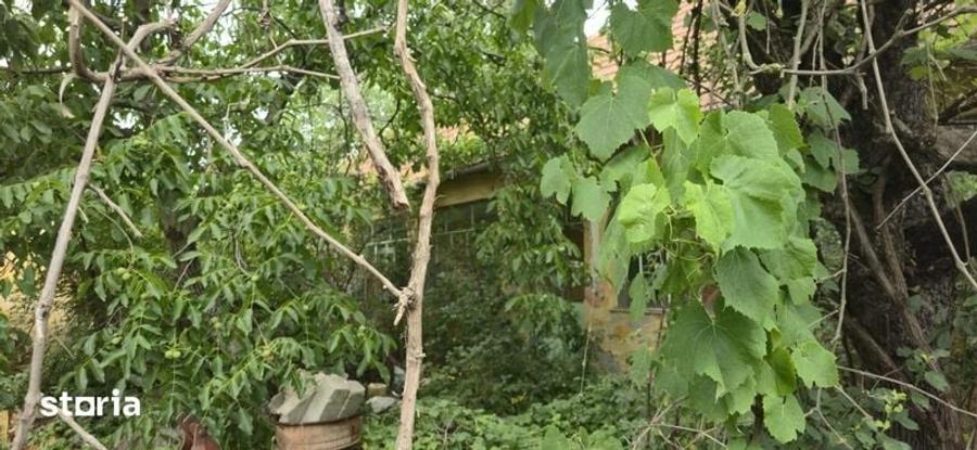 Casa si teren de vanzare - 2