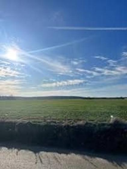 Teren agricol extravilan de 30700 mp, în Ciolpani
