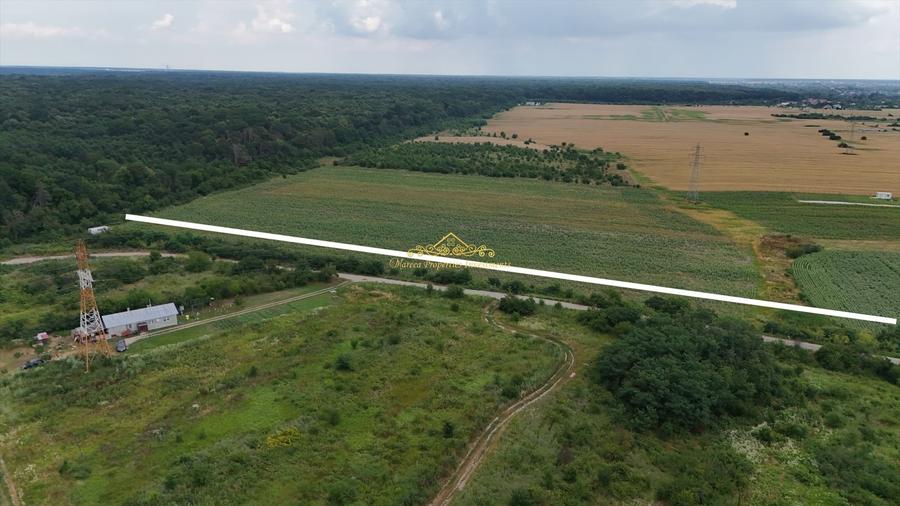 Teren Construcții intravilan de 10000 mp, în Periș