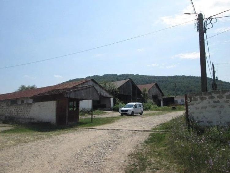 Teren în Șopotu Vechi