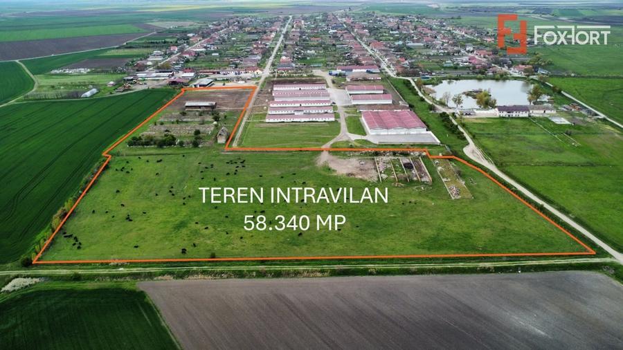 Teren Construcții intravilan de 58340 mp, în Sânmartinu Sârbesc