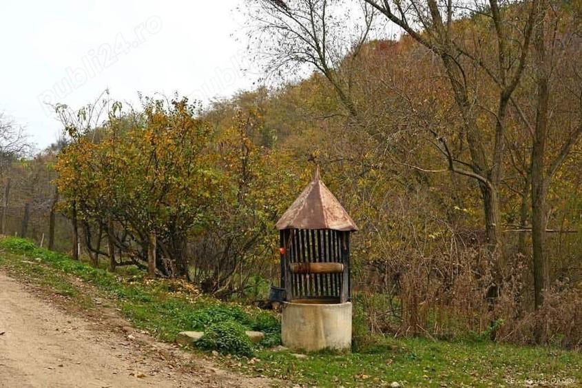 Proprietar, vand teren Alba - 2
