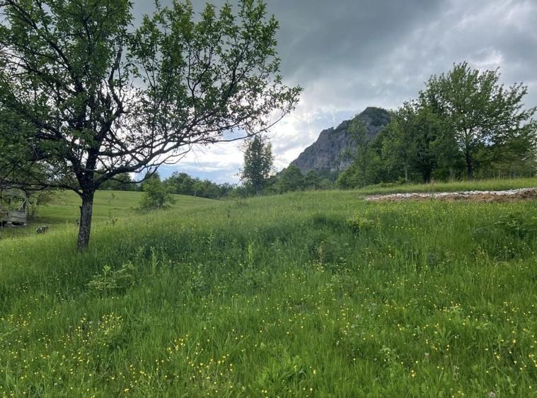 Casă cu 4 camere în Băița