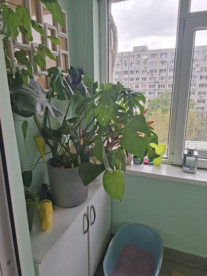 Apartament cu 2 camere decomandat, mobilat în Sălăjan