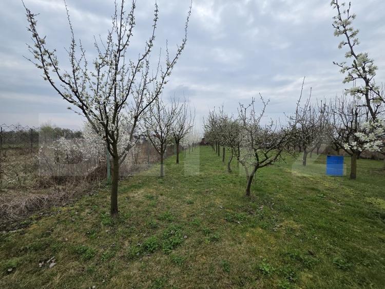 Teren Construcții intravilan de 2877 mp, în Micro 17
