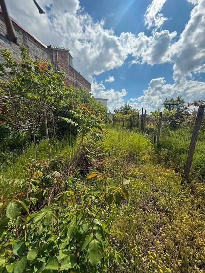 Casa de vanzare str. Corneliu Coposu - Piata Chiriac - 1 Mai, proprietar - 12