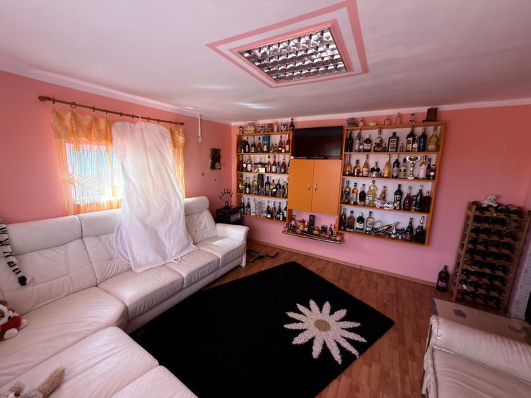 Casa noua + casa renovata in Cucorani - 4