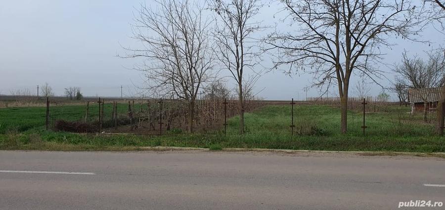 Teren de 2300 mp, în Sărulești