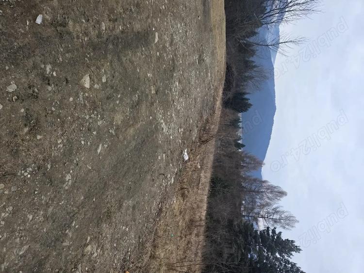 Teren de 2000 mp, în Hangu