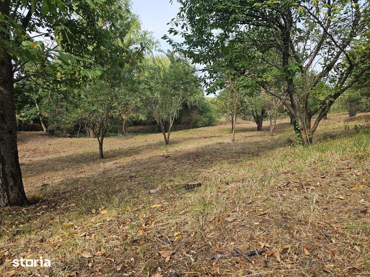 VILA RUSTICA SI TEREN 1220 MP IASI NICOLINA AL. T NECULAI STRUGURILOR - 5