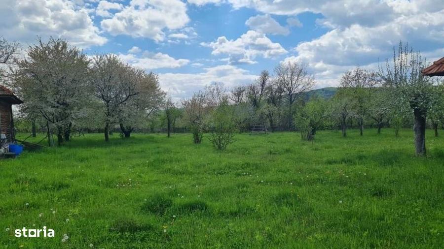 Casă cu 4 camere în Albești
