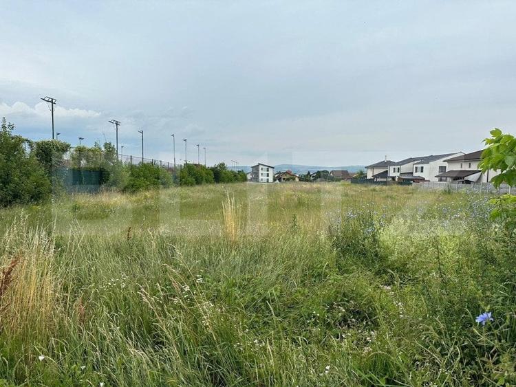 Teren Construcții intravilan de 7441 mp, în Cetate
