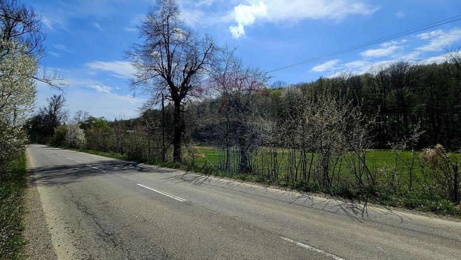 Teren Construcții intravilan de 10000 mp, în Nemțișor