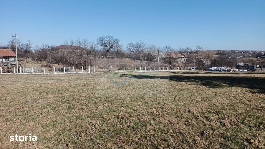Teren de 4700 mp, în Brusturi