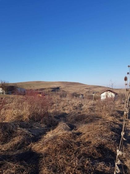 Teren Construcții intravilan de 602 mp, în Borhanci