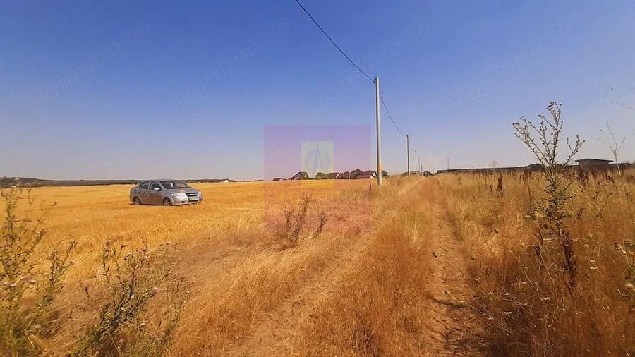 Teren de 2000 mp, în Brănești