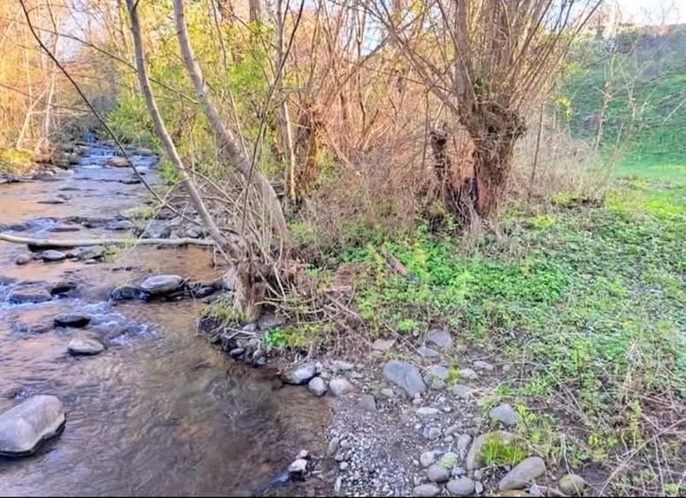 Teren de 27 mp, în Rușii-Munți