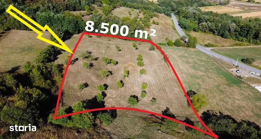 Teren de 8500 mp, în Orașul Vechi