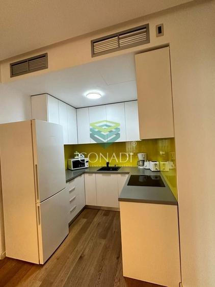 Apartament cu 2 camere Sos. Nordului - Herastrau - 5