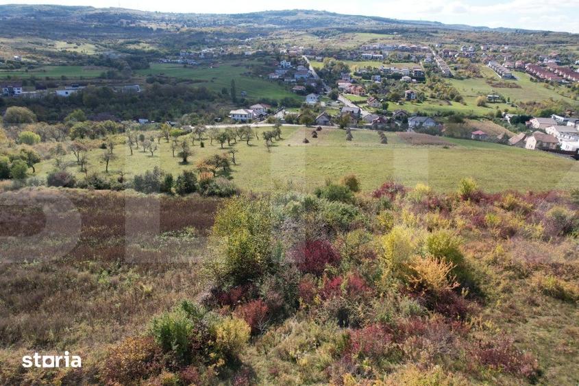 Teren de 6896 mp, în Gheorgheni