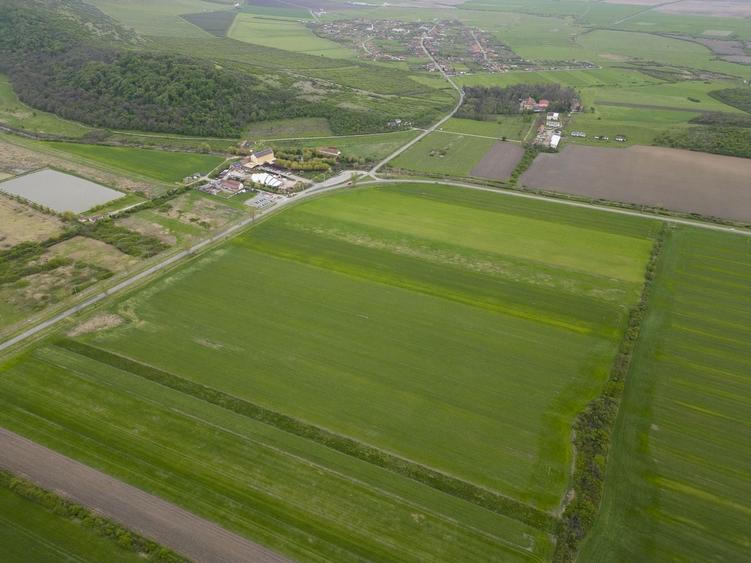Teren agricol extravilan de 22500 mp, în Sud-Vest
