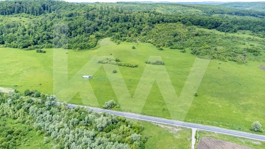 Teren agricol extravilan de 4000 mp, în Bradu