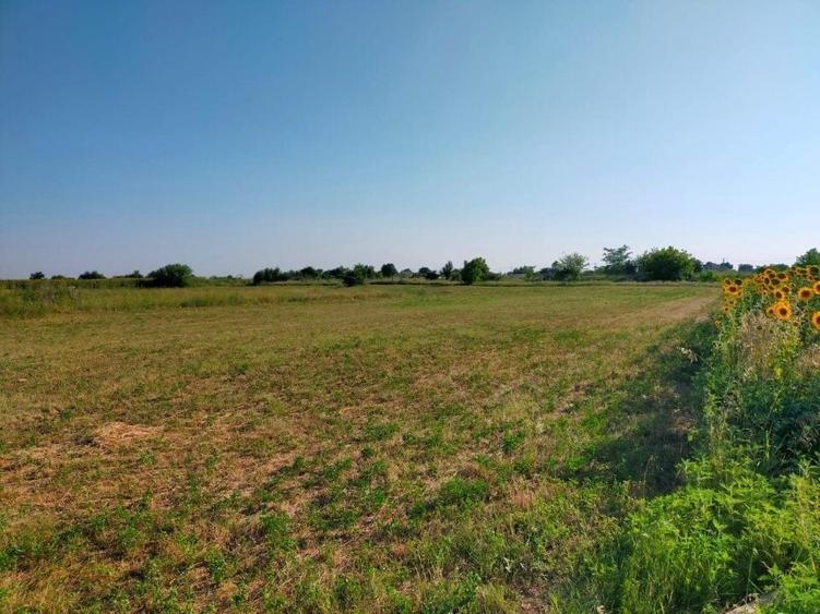 Teren Construcții intravilan de 2502 mp, în Moara Vlăsiei