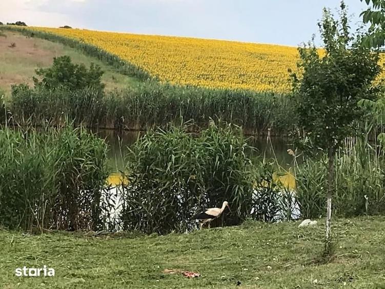 Casa cu vedere la lac, langa Therme & Aeroport investi?ie Airbnb - 6